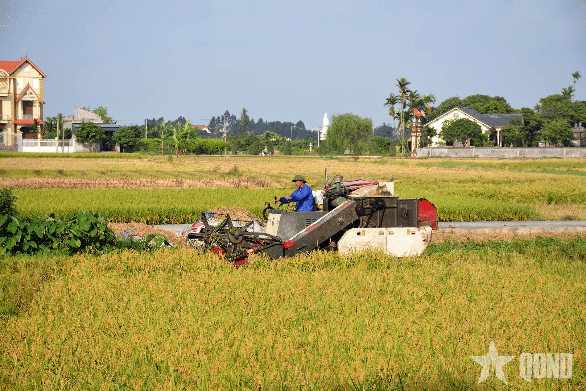 Nông nghiệp vững - Tổ quốc bền