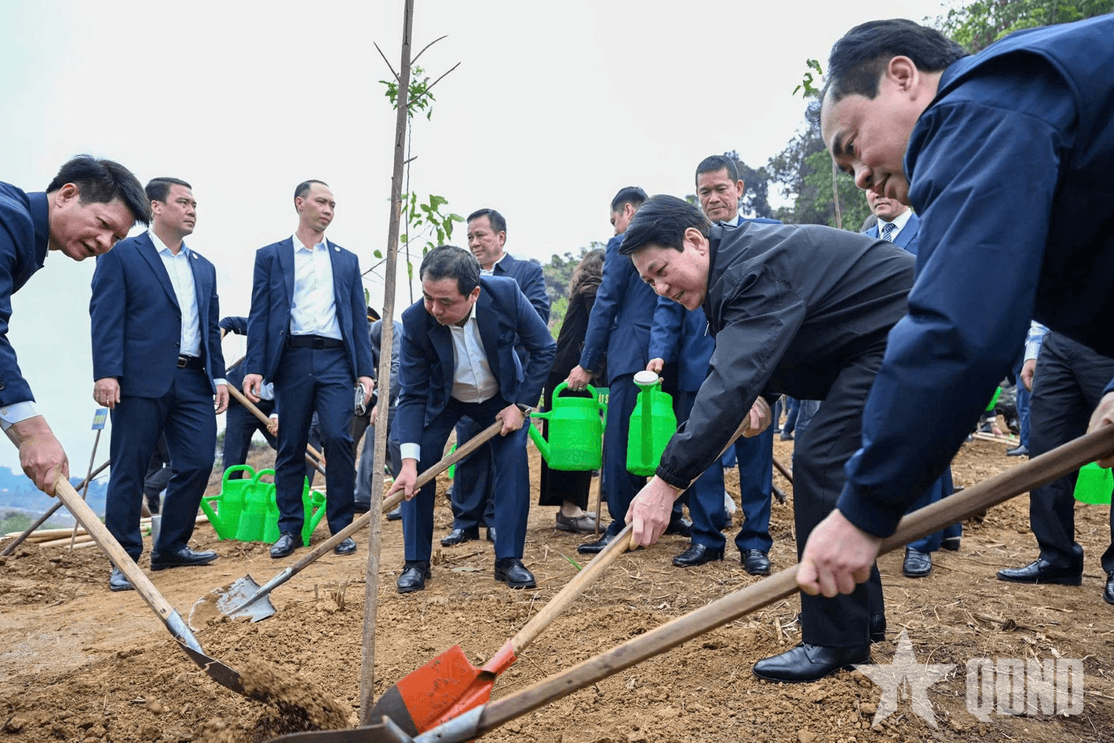 Trồng cây mỗi độ Xuân về, Tổ quốc thêm đẹp, xanh tươi, rạng ngời