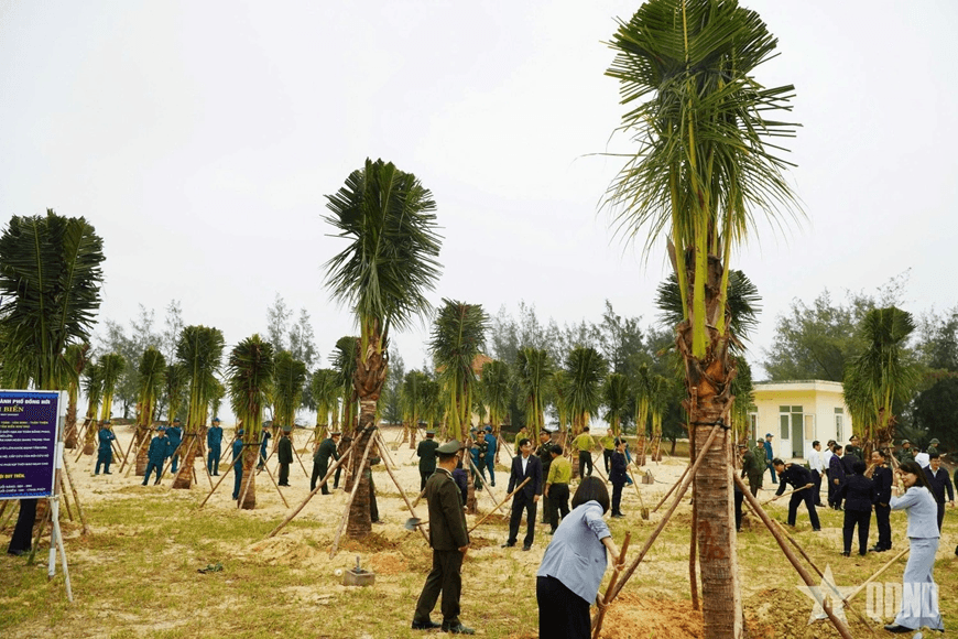Quảng Trị: 22.800ha rừng tập trung, 3,5 triệu cây xanh trồng trong năm 2026