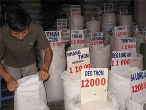 THƯƠNG HIỆU GẠO NỘI, GẠO NGOẠI