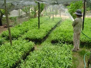 NHÀ NÔNG “LÊN MẠNG” TÌM THỊ TRƯỜNG
