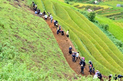 Rực rỡ sắc màu vùng cao