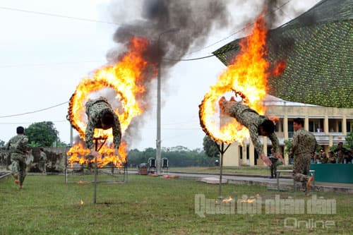 Bộ đội Đặc công trình diễn võ thuật