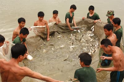 Hiệu quả từ mô hình 5 cơ bản ở Trung đoàn 82