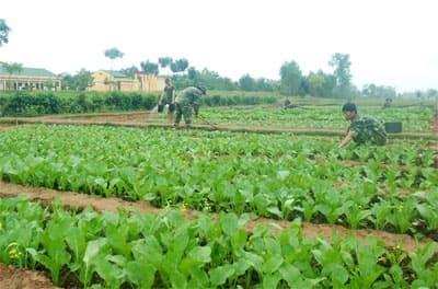 Mấy ghi nhận trong công tác bảo đảm hậu cần cho chiến sĩ mới ở Trung đoàn 143