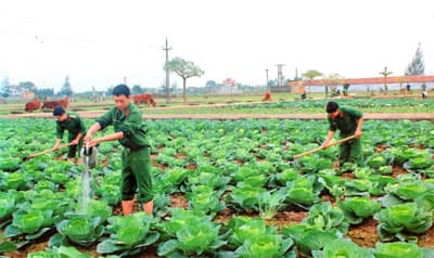 Chủ động trong công tác bảo đảm Tết và đón nhận chiến sĩ mới