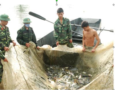 Hiệu quả từ thâm canh nuôi, thả cá nước ngọt ở Binh đoàn Quyết thắng
