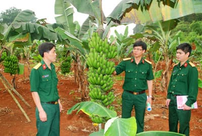 Hướng phát triển mới ở Kho KT 789