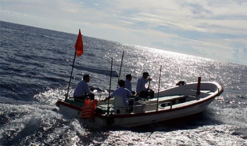 “Sao vuông” trên đảo Yến