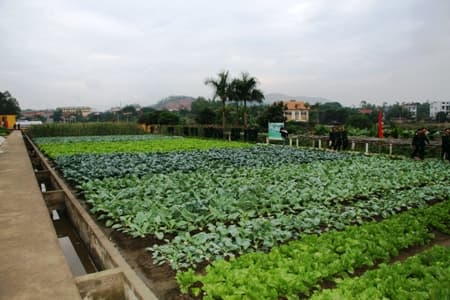 Một số kinh nghiệm rút ra từ Hội thi hậu cần tổng hợp Binh chủng Pháo binh
