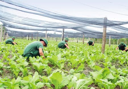 Quân khu 7: Tích cực ứng dụng khoa học công nghệ mới, nâng cao hiệu quả hoạt động sản xuất