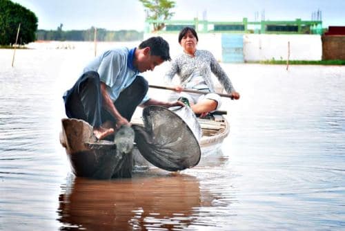 Ở nơi đầu nguồn lũ