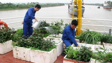 Lữ đoàn 649 đẩy mạnh gia tăng sản xuất tại chỗ