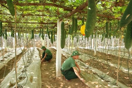 Kết quả đột phá trong công tác quân nhu ở Binh chủng Pháo binh