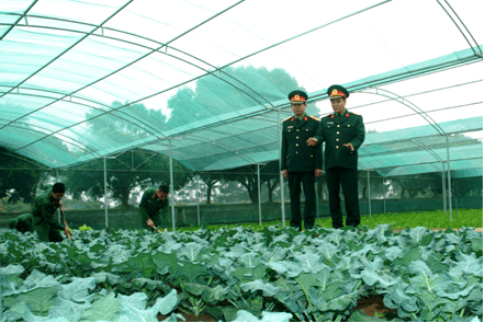 Tiếp tục đẩy mạnh phong trào thi đua xây dựng đơn vị nuôi quân giỏi, quản lý quân nhu tốt