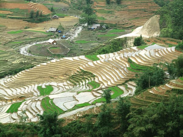 Top 7 thế giới