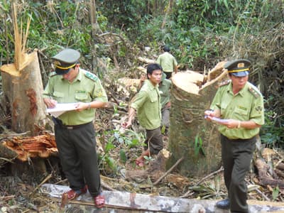 MUỐN GIỮ RỪNG TRƯỚC HẾT GIỮ CÁN BỘ