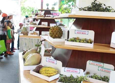 Hơn 600 nhà nông và nhiều đoàn quốc tế tham gia lễ hội trái cây Nam Bộ 2015