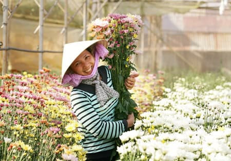 Đà Lạt, thành phố của rau và hoa