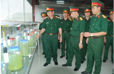 Mô hình nuôi cá chạch ở Sư đoàn 312