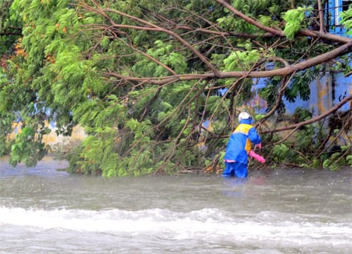 Hải Phòng trong bão Jebi
