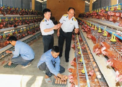 Chủ động bảo đảm lương thực, thực phẩm phục vụ bộ đội Trường Sa đón Tết