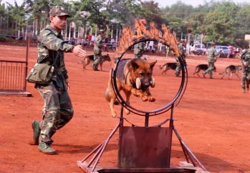 "Trình diễn đặc biệt" của lực lượng Biên phòng