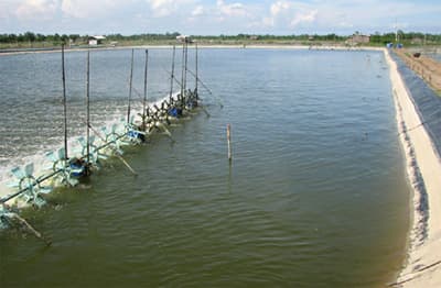 QUỸ HỖ TRỢ PHÁT TRIỂN THỦY SẢN