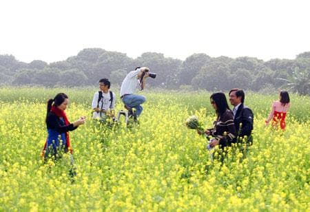 “Trẩy hội” mùa hoa cải