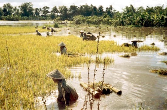 Đồng bằng sông Cửu Long gồng mình chống lũ
