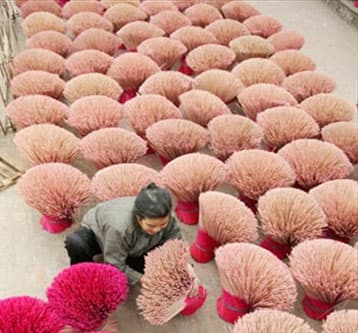 Làng hương xạ vào Tết