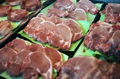 ĐẠO ĐỨC NGƯỜI CHĂN NUÔI