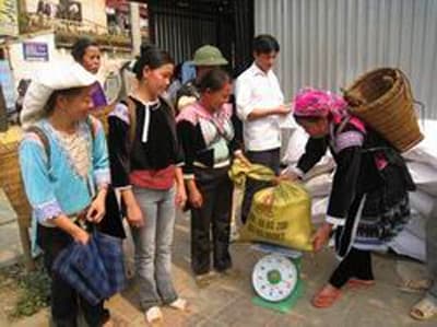 ÁM ẢNH...MÙA GIÁP HẠT