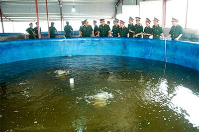 Hình ảnh hoạt động Hậu cần Binh đoàn Quyết thắng