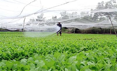 Tân Thông Hội: Điểm sáng nông thôn mới