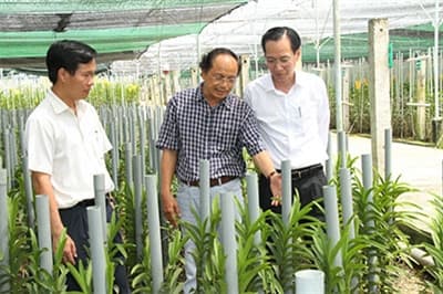 TP Hồ Chí Minh: Hình thành nông nghiệp đô thị, ứng dụng công nghệ cao