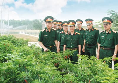Nâng cao hiệu quả các khu kinh tế - quốc phòng trên địa bàn Quân khu 1