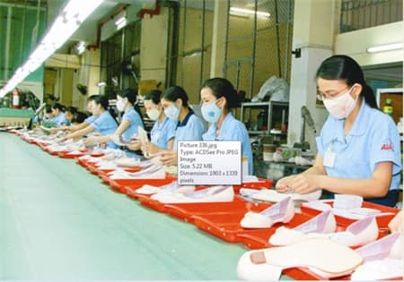 TPP - Cơ hội, thách thức và những giải pháp ở Công ty cổ phần 32