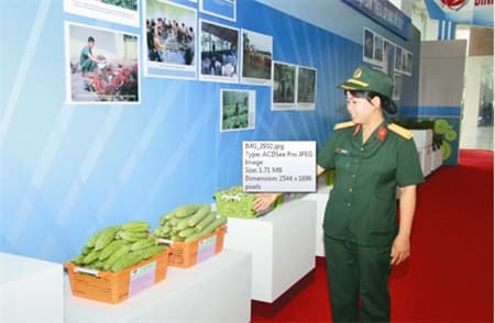 Chị nuôi quân tâm huyết với nghề