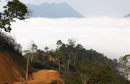 Mở đường trong mây