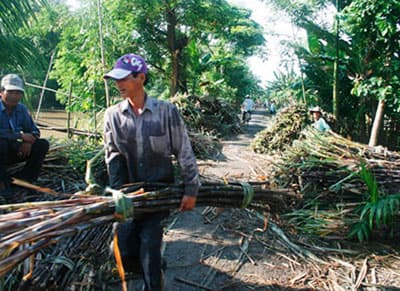 BÀI TOÁN CẠNH TRANH
