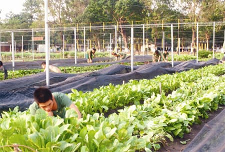 Kinh nghiệm triển khai xã hội hóa công tác nuôi dưỡng bộ đội ở Trường Sĩ quan Lục quân 2