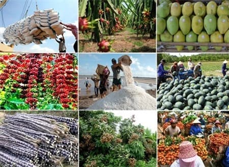 XUẤT KHẨU NÔNG SẢN CẦN “4 NHÀ” CÙNG TÂM HUYẾT